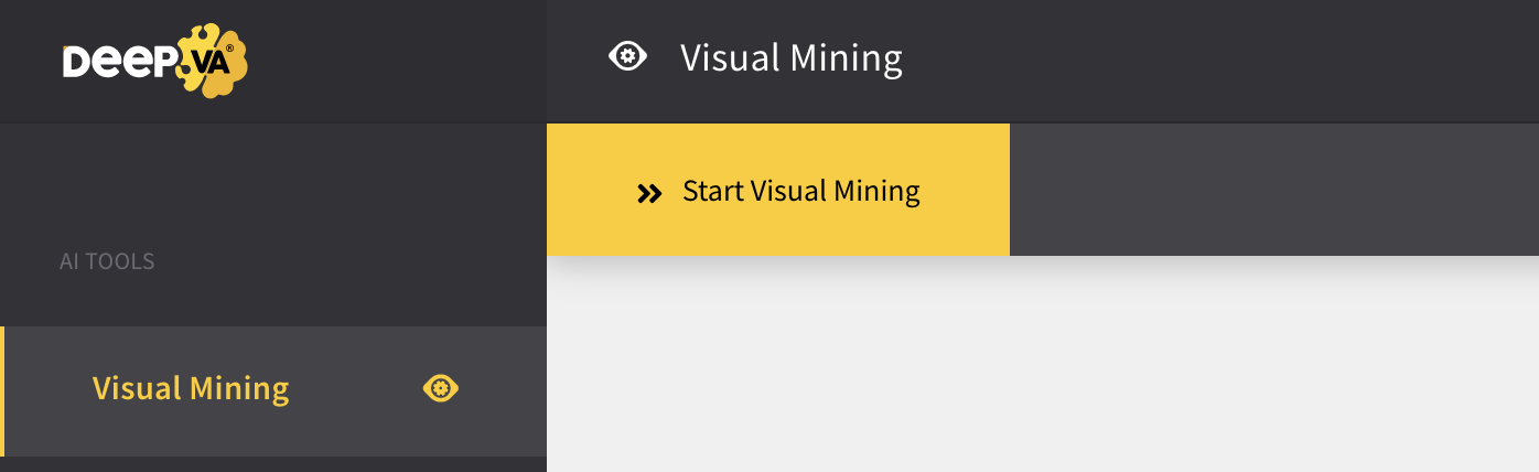 Visual Mining Job